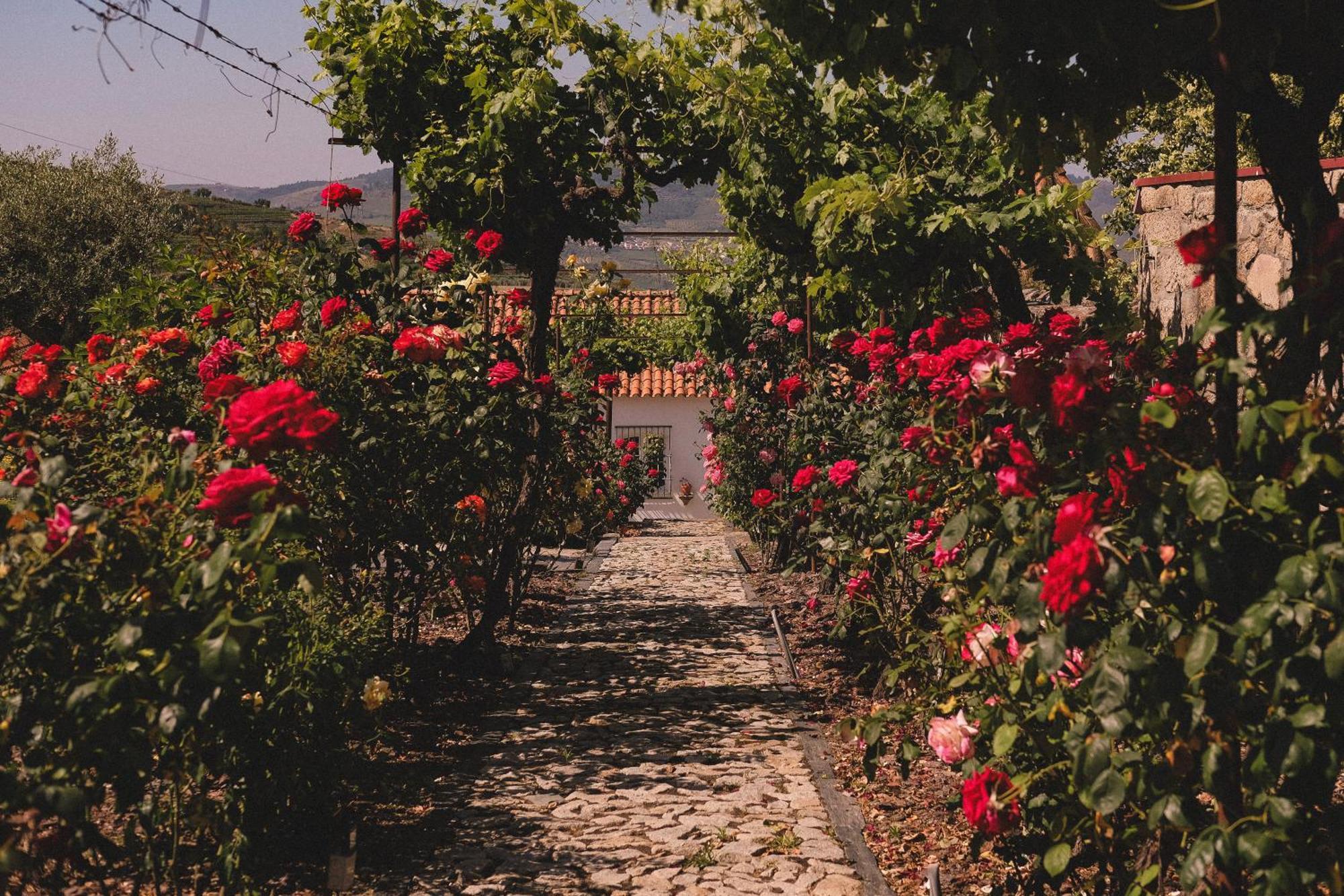 Casal De Tralhariz - Douro Valley Exterior foto