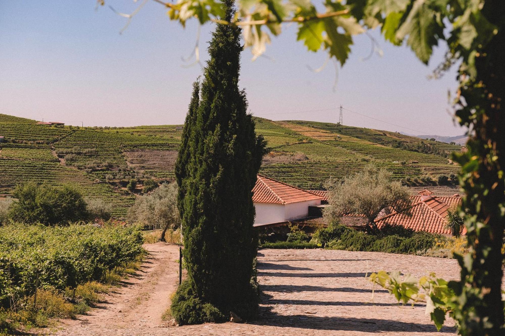 Casal De Tralhariz - Douro Valley Exterior foto